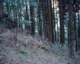 #4: Looking north