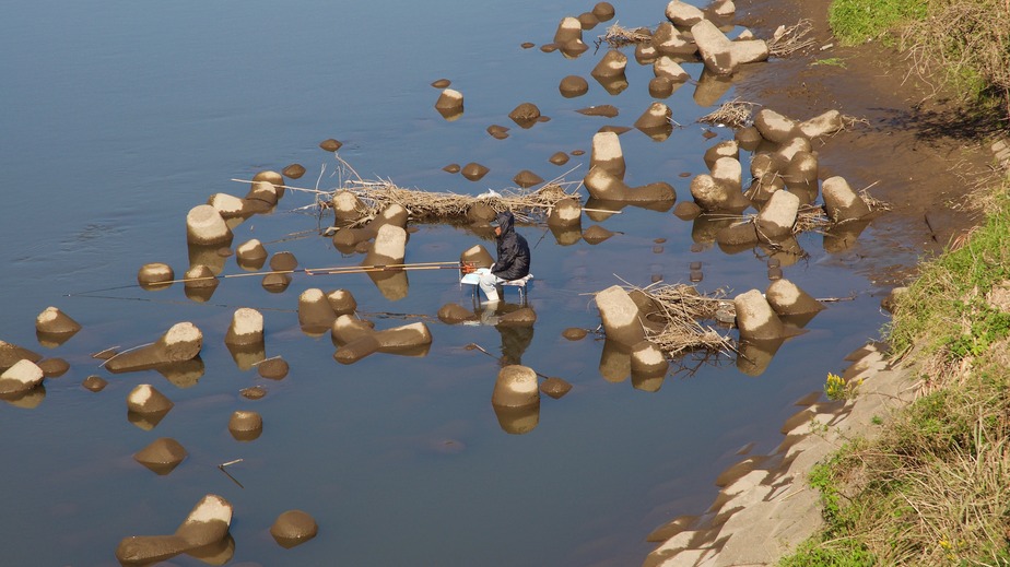 A fisherman in the river, about 1.7 km from the point