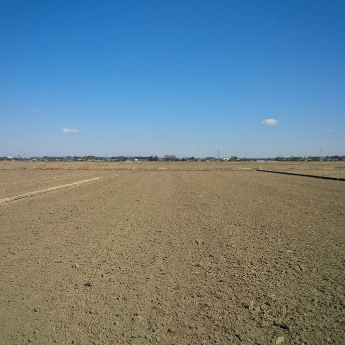 East from Confluence