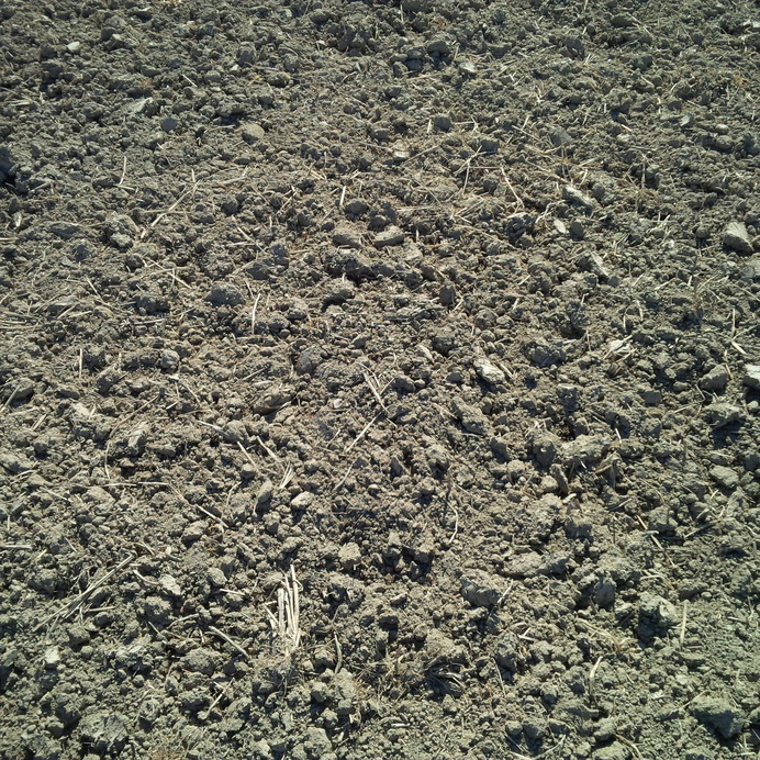 Looking down at ground at Confluence