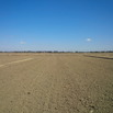 #2: East from Confluence