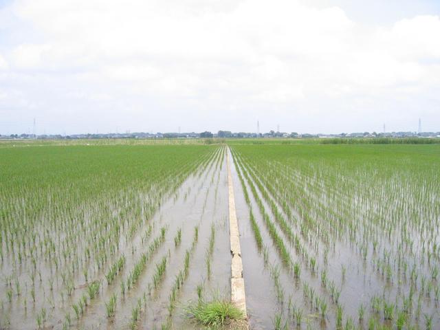 View of confluence, east from point