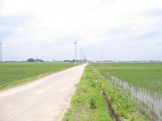 View north from point