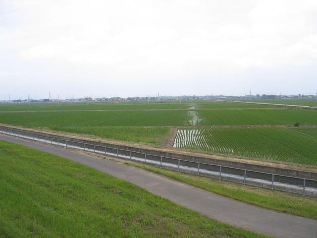 View of canal and fields from the west