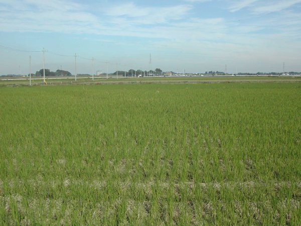 View to the North