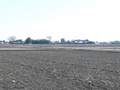 #4: South view