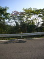 #3: The East View
