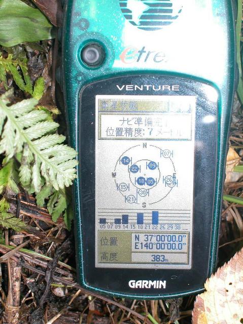 GPS screen 20 meters west from the pole..