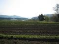 #10: Confluence west view. Looking out to the sea of Japan.