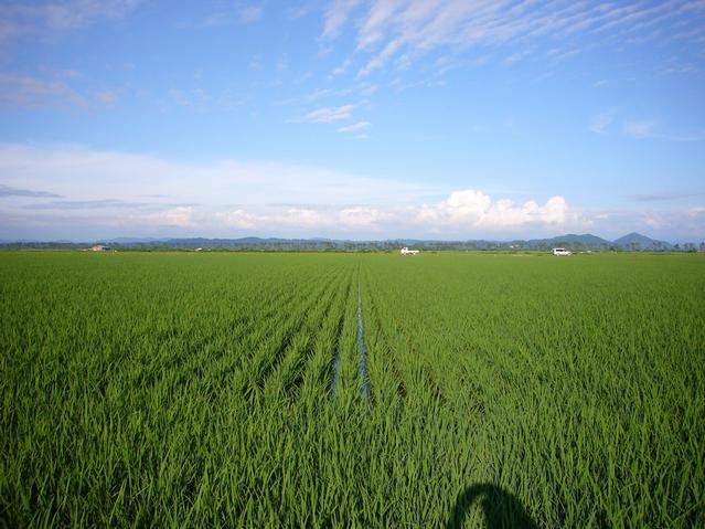 East View of the closest point