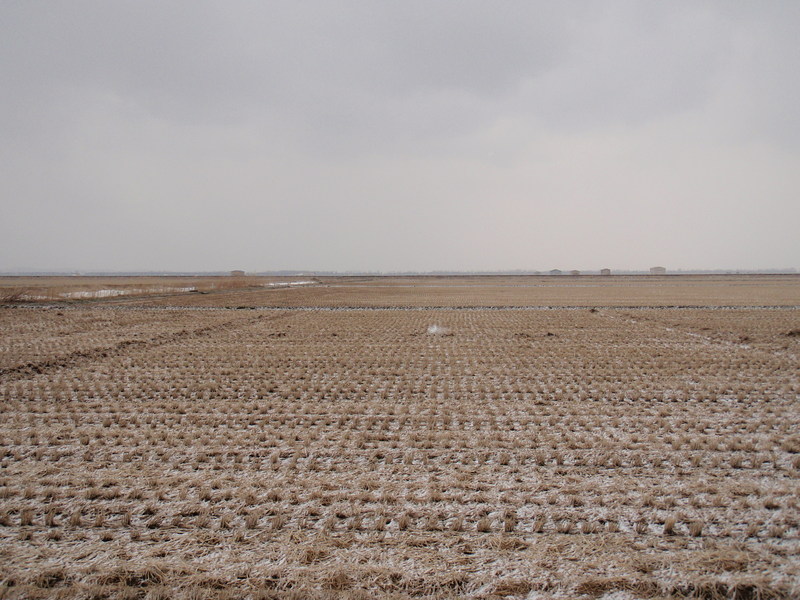 North from the confluence