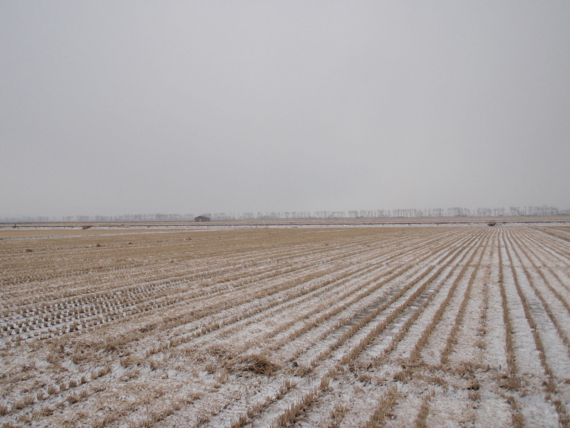 East from the confluence