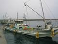 #5: Woman in back, man driving our 'confluence boat'.  Note the fluorescent scallop bags.