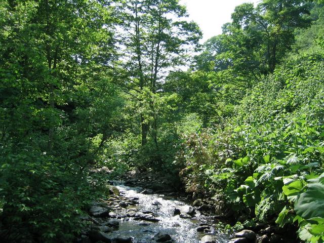 In the stream, 2.15 km from the point.