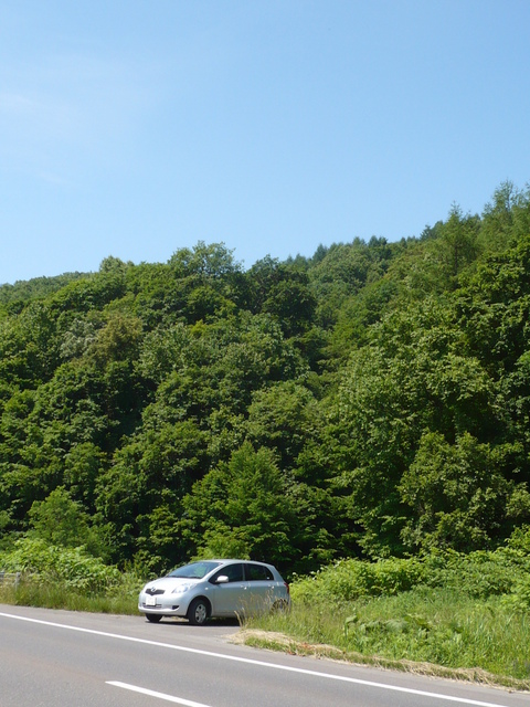 Overall view of the point from the road 400 meters east.