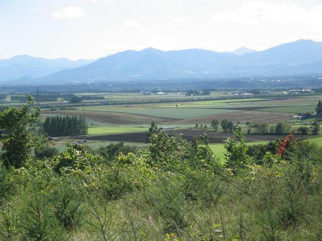 Regional view of the region taken from the house.