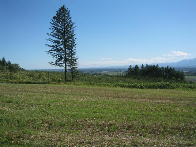 South view of confluence.