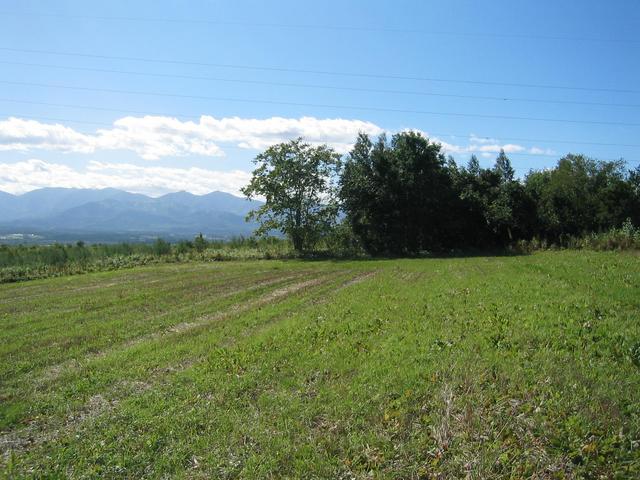 West view of the confluence.