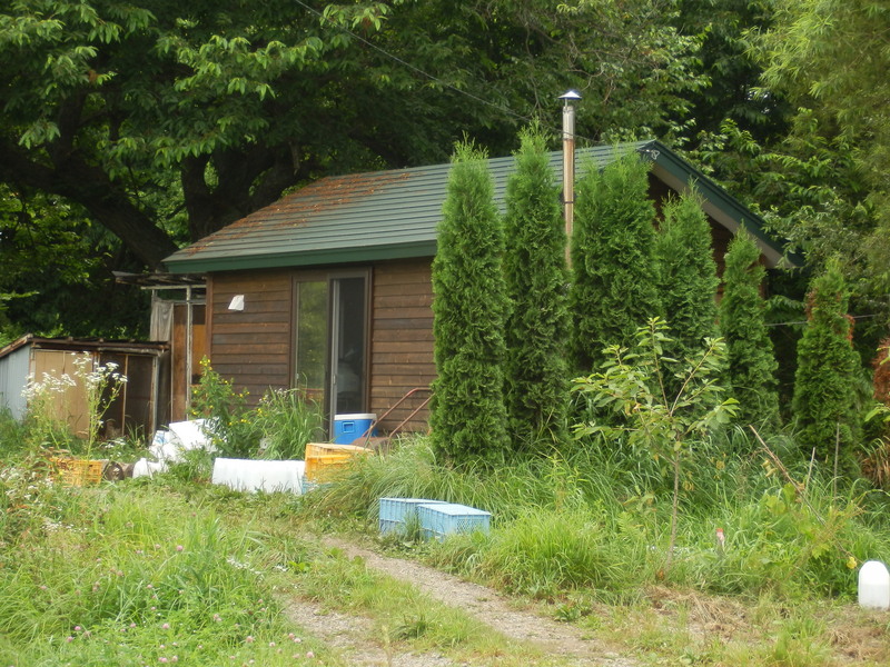 Now the house is replaced by this little hut