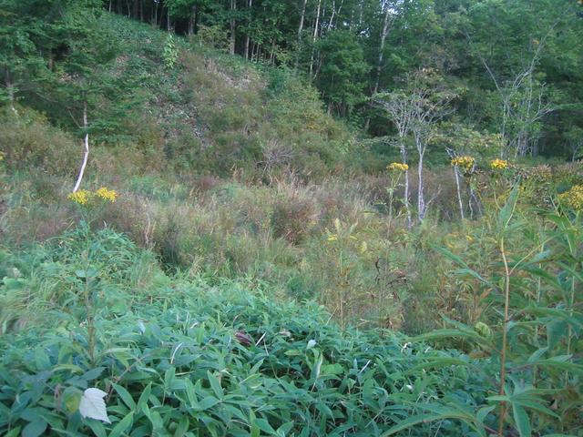 General view of confluence.