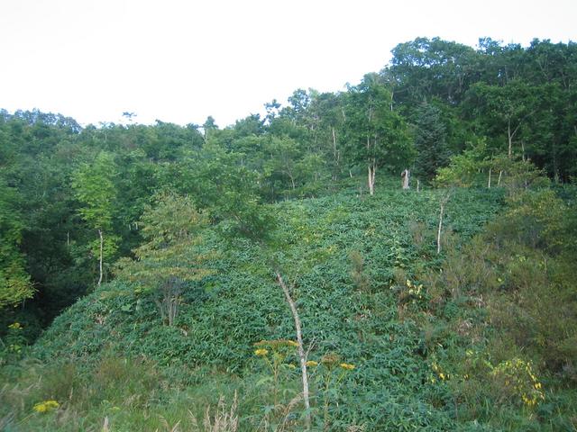 East view of confluence.