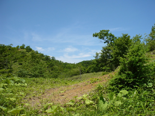 North view of confluence.