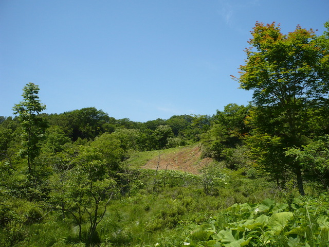 West view of confluence.