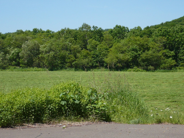 The field where I started the attack. The target is over the forest.