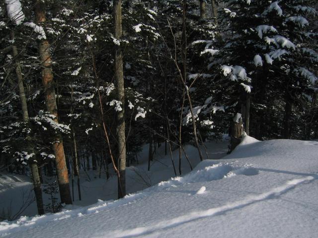 General view of confluence - precision is at hole in the snow.