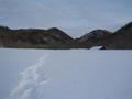 #2: Meadow with my tracks, feed shed on right.