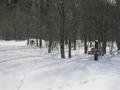 #3: Unplowed road with road signs.