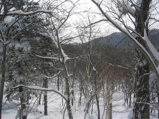 #1: View to southeast, 3.8 kilometers from point.