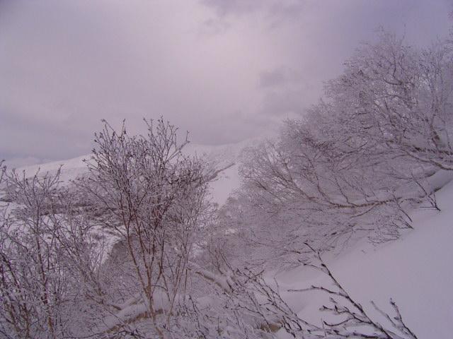 East view from the confluence