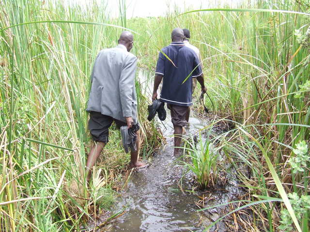 Through muddy water