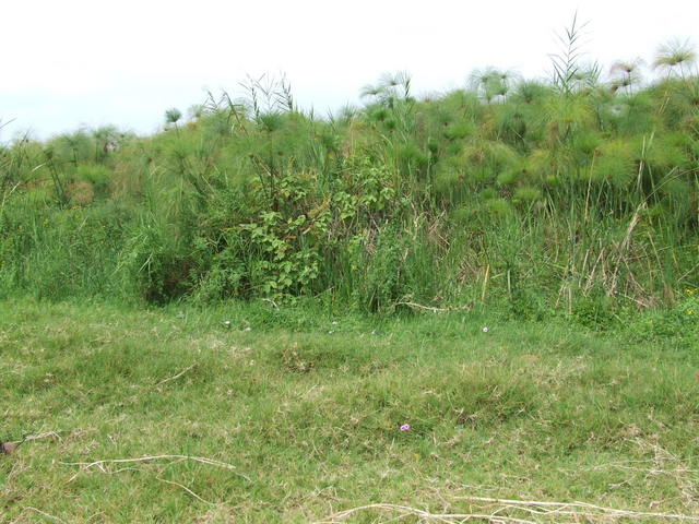 General area of Confluence