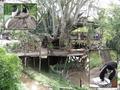 #3: The nearby Trout-Tree Restaurant offers a perfect watering hole for hungry confluence hunters.