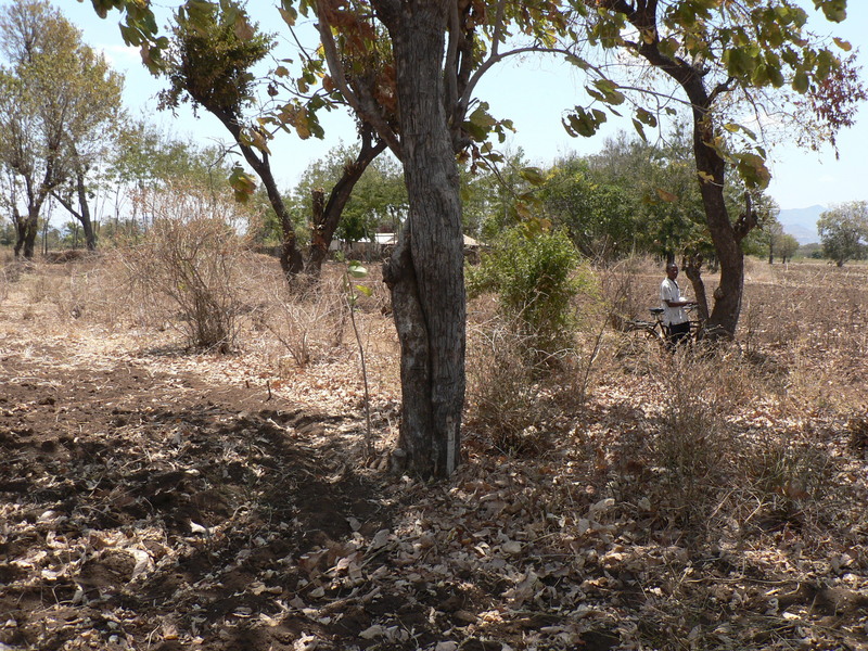 View from the confluence West