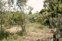 #4: View from the confluence east