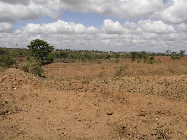 View towards the 1S 38E confluence from Highway C94