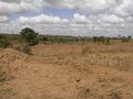 #10: View towards the 1S 38E confluence from Highway C94