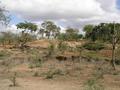 #8: Rock outcroppings 200 meters from confluence have a scenic quality, even if they don't have the best pasture or crop potential