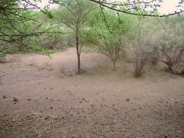 2S 36E sits amid thorn bushes on the edge of the Nguruman Escarpment