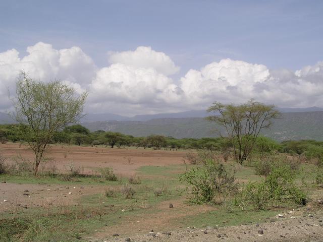 Looking toward the Nguruman Escarpment to the southwest from the Ewaso Plain
