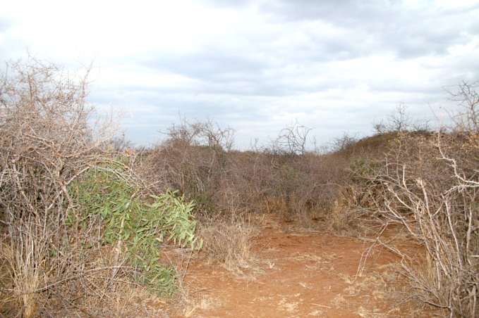 View from Confluence to South