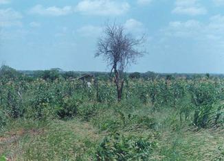 #1: General view of the area towards East