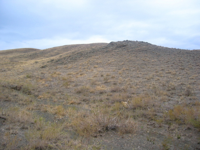 View to the South