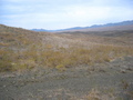 #8: View to the West
