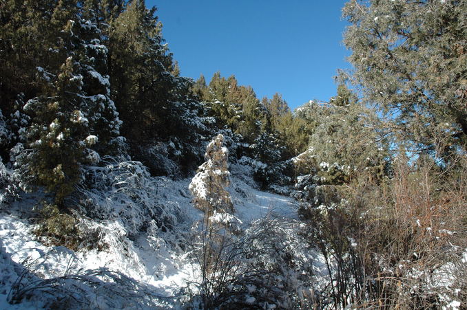 A view of the ridge from where we tuned around for the first attempt