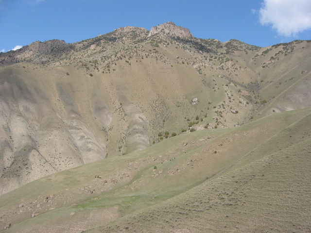 view from confluence to the East