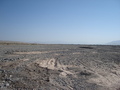 #3: from the confluence looking north